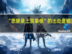 “思陵录上哀荣极”的出处是哪里