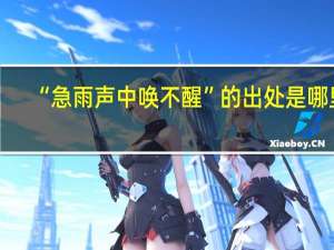 “急雨声中唤不醒”的出处是哪里
