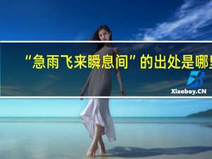 “急雨飞来瞬息间”的出处是哪里