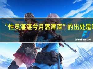 “性灵湛湛兮月落潭深”的出处是哪里