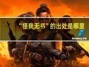 “怪我无书”的出处是哪里