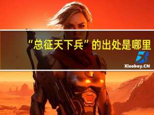 “总征天下兵”的出处是哪里