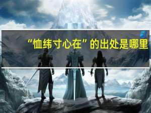 “恤纬寸心在”的出处是哪里