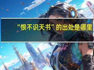 “恨不识天书”的出处是哪里