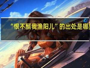 “恨不醑我渔阳儿”的出处是哪里