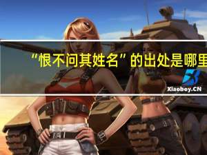 “恨不问其姓名”的出处是哪里