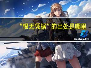 “恨无凭据”的出处是哪里
