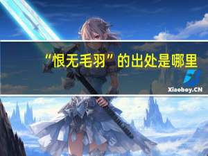 “恨无毛羽”的出处是哪里