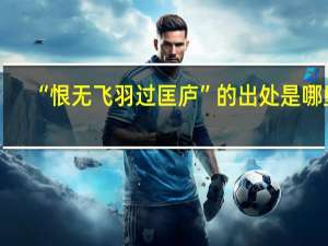“恨无飞羽过匡庐”的出处是哪里