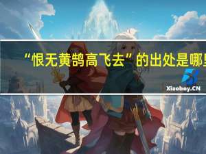“恨无黄鹄高飞去”的出处是哪里