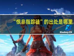 “恨非指踪徒”的出处是哪里