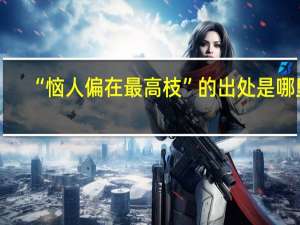 “恼人偏在最高枝”的出处是哪里