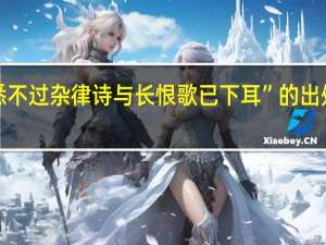“悉不过杂律诗与长恨歌已下耳”的出处是哪里
