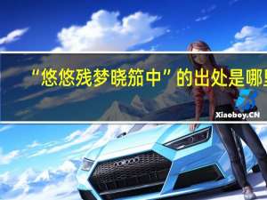 “悠悠残梦晓笳中”的出处是哪里