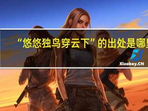 “悠悠独鸟穿云下”的出处是哪里