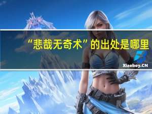 “悲哉无奇术”的出处是哪里