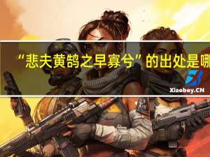 “悲夫黄鹄之早寡兮”的出处是哪里