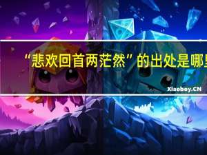 “悲欢回首两茫然”的出处是哪里