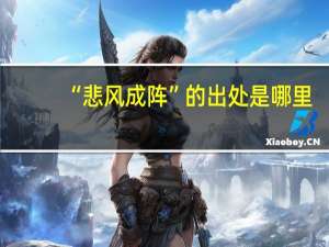 “悲风成阵”的出处是哪里