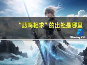 “悲鸣相求”的出处是哪里