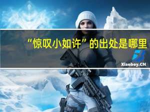 “惊叹小如许”的出处是哪里