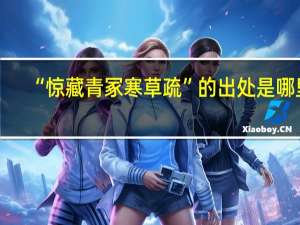 “惊藏青冢寒草疏”的出处是哪里