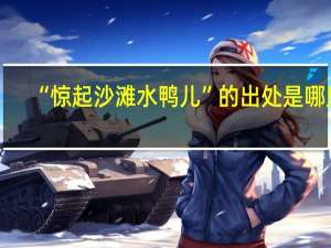 “惊起沙滩水鸭儿”的出处是哪里