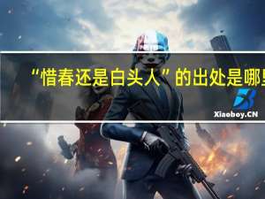 “惜春还是白头人”的出处是哪里