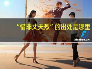 “惜非丈夫烈”的出处是哪里