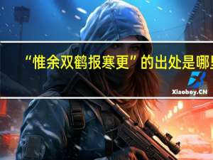 “惟余双鹤报寒更”的出处是哪里