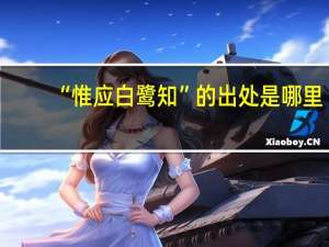 “惟应白鹭知”的出处是哪里