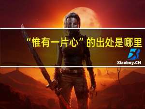 “惟有一片心”的出处是哪里