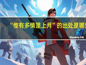 “惟有多情篷上月”的出处是哪里