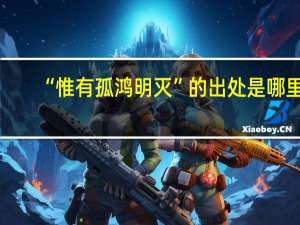 “惟有孤鸿明灭”的出处是哪里
