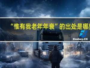 “惟有我老年年衰”的出处是哪里