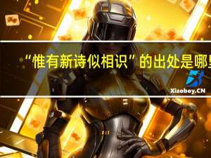 “惟有新诗似相识”的出处是哪里