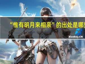 “惟有明月来相亲”的出处是哪里