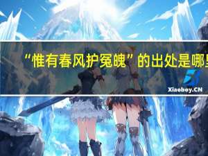 “惟有春风护冤魄”的出处是哪里