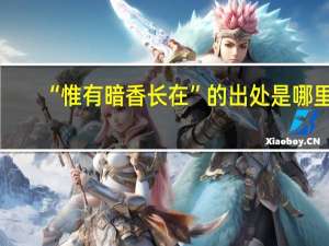 “惟有暗香长在”的出处是哪里
