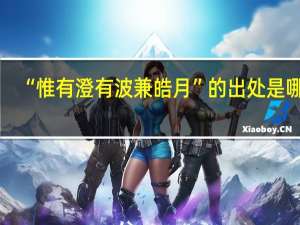 “惟有澄有波兼皓月”的出处是哪里