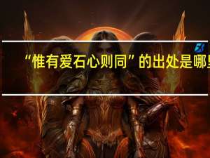 “惟有爱石心则同”的出处是哪里