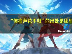 “惯宿芦花不归”的出处是哪里