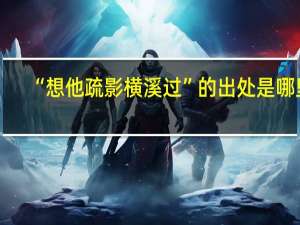 “想他疏影横溪过”的出处是哪里