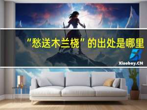 “愁送木兰桡”的出处是哪里