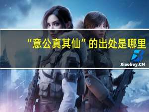 “意公真其仙”的出处是哪里