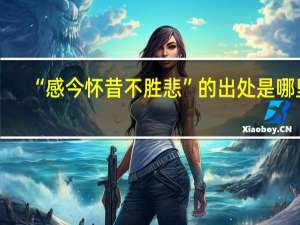 “感今怀昔不胜悲”的出处是哪里