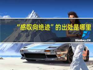 “感叹向绝迹”的出处是哪里