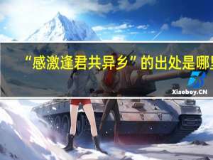 “感激逢君共异乡”的出处是哪里