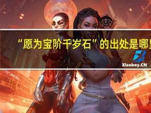 “愿为宝阶千岁石”的出处是哪里