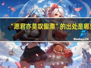 “愿君亦莫叹留滞”的出处是哪里
